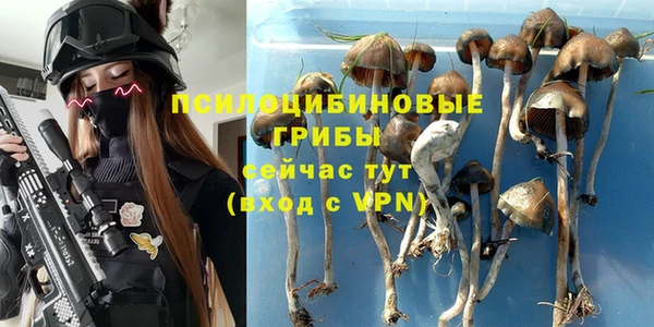 МДПВ Аркадак